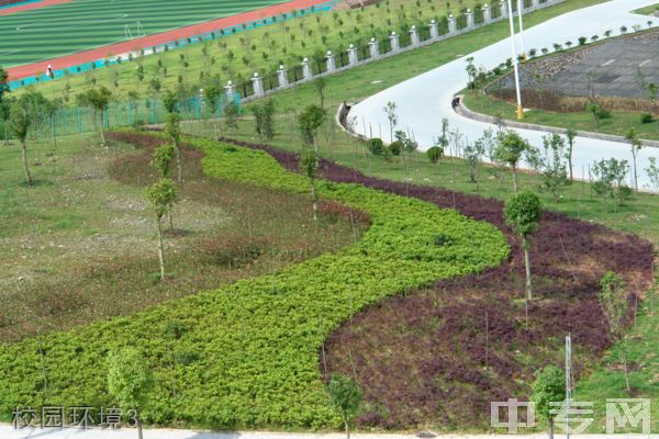 泉州工艺美术职业学院-校园风采10