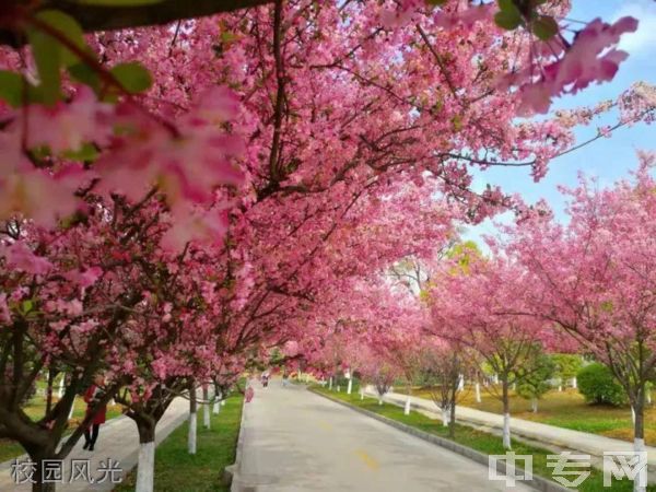 曲靖师范学院继续教育学院-校园风采2