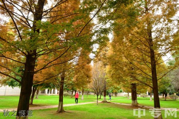 昆明学院继续教育学院-校园风采7