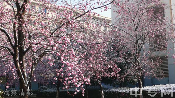 昆明学院继续教育学院-校园风采4