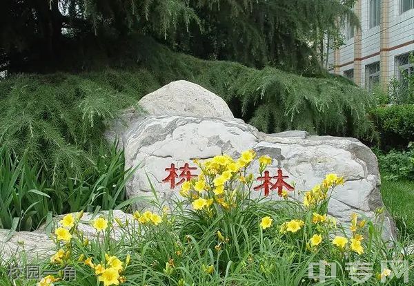 北京市顺义区第一中学环境、寝室介绍