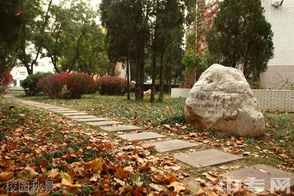 北京农学院继续教育学院-校园秋景