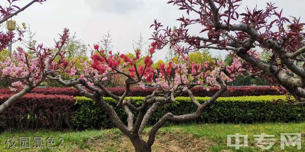 中国消防救援学院继续教育学院-校园景色2