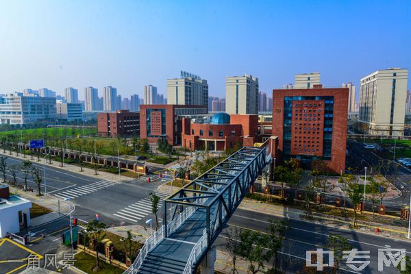 上海健康医学院继续教育学院-一角风景