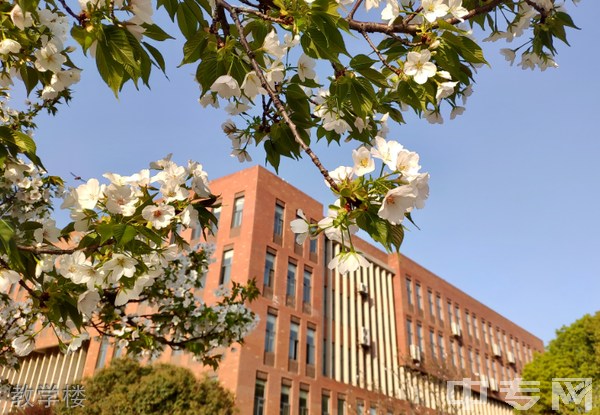 武汉城市学院继续教育学院-教学楼