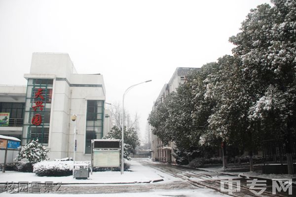 湖北大学知行学院继续教育学院-校园雪景2