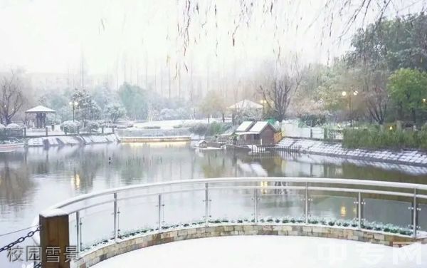 上海商学院继续教育学院-校园雪景