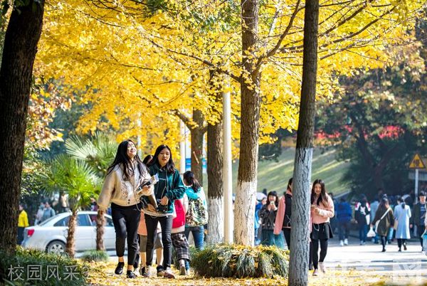 湖北理工学院继续教育学院-校园风采3