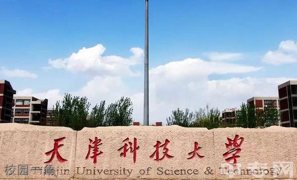 天津科技大学继续教育学院-校园一角