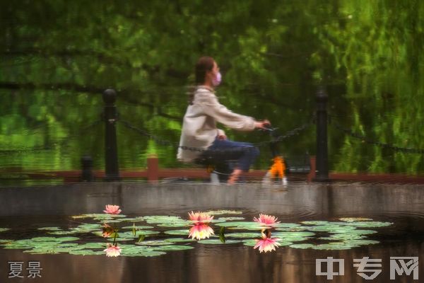 同济大学继续教育学院-夏景