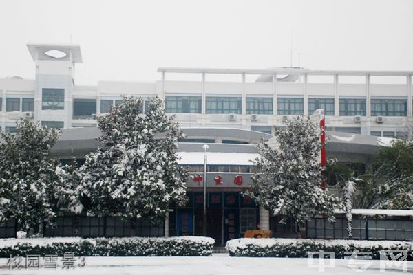 湖北大学知行学院继续教育学院-校园雪景3