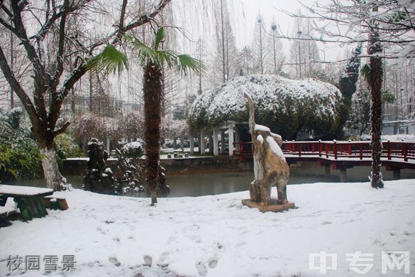 湖北大学知行学院继续教育学院-校园雪景