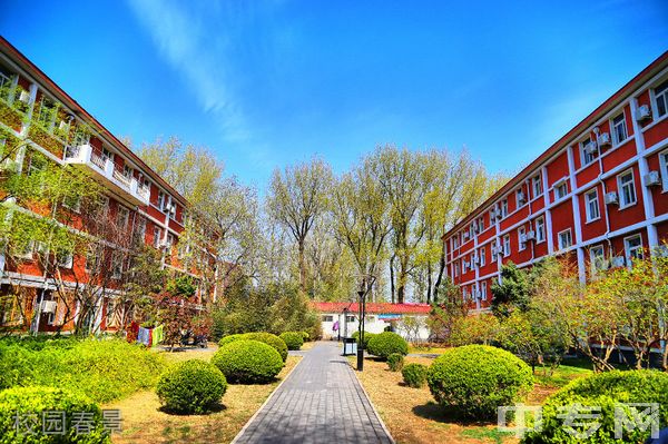 北京农学院继续教育学院-校园春景