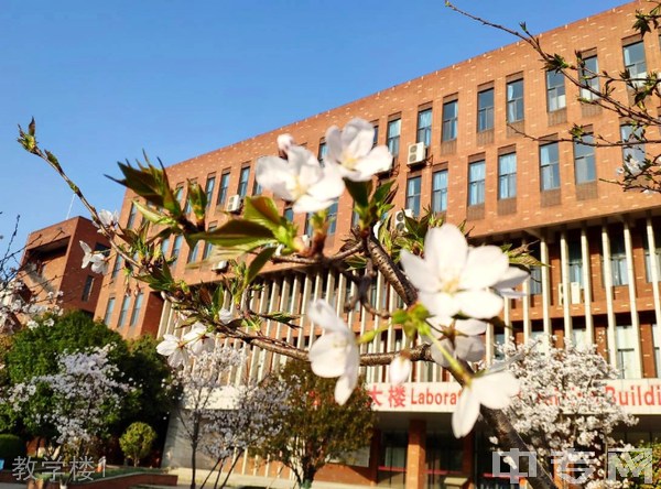 武汉城市学院继续教育学院-教学楼1