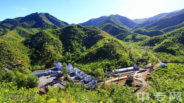 北京农学院继续教育学院-万亩林场