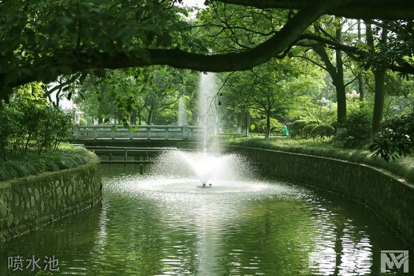 华东理工大学继续教育学院-喷水池