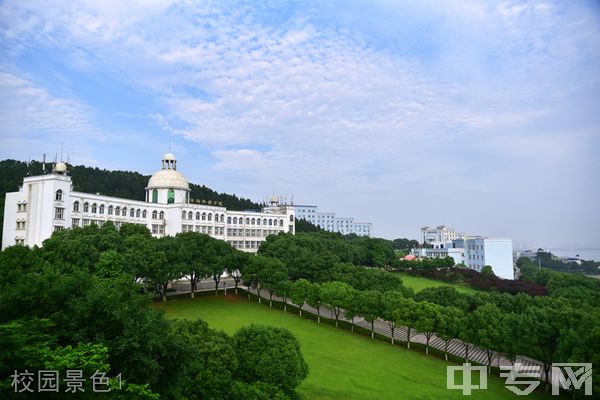 武昌理工学院继续教育学院-校园景色1