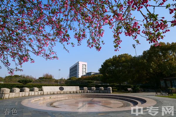 同济大学继续教育学院-春色