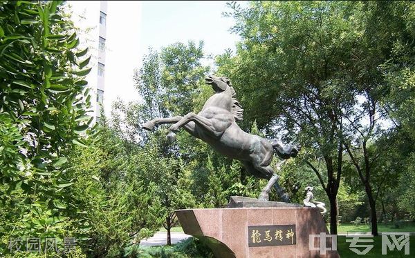 北京林业大学继续教育学院-校园风景