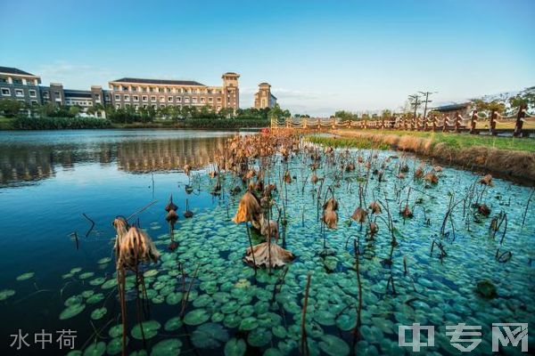 上海海洋大学继续教育学院-水中荷