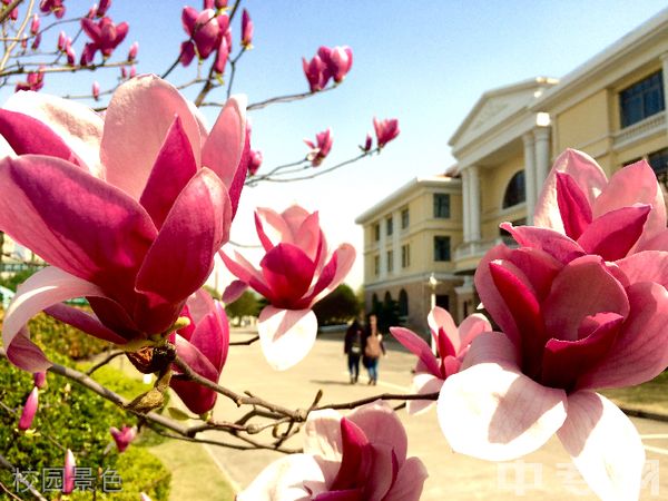 上海立信会计金融学院继续教育学院-校园景色