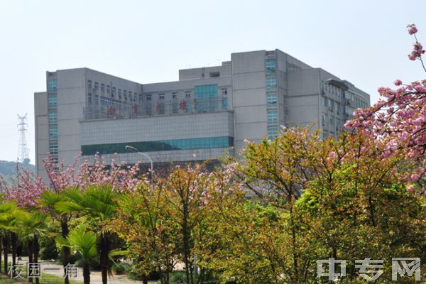 湖北师范大学继续教育学院-校园一角