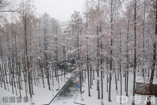 湖北大学知行学院继续教育学院-校园雪景1