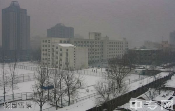 北京信息科技大学继续教育学院-校园雪景