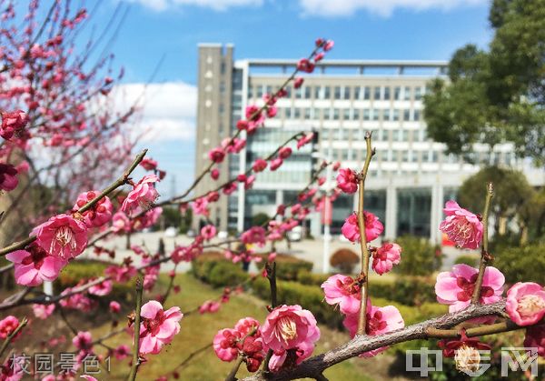 上海立信会计金融学院继续教育学院-校园景色1