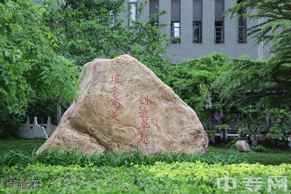 天津音乐学院继续教育学院-卓越石