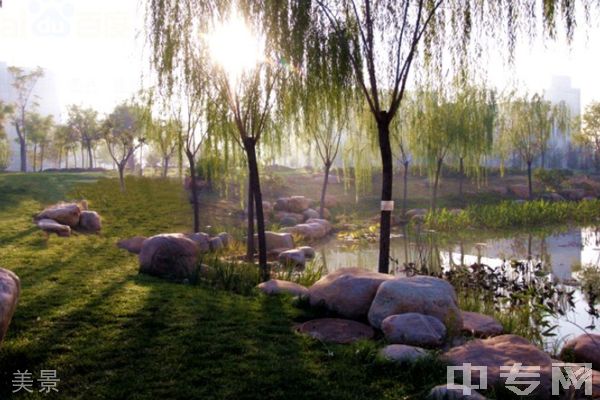 天津城建大学继续教育学院-美景