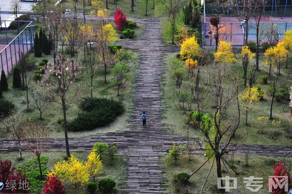 天津美术学院继续教育学院-绿地