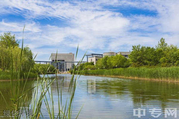 天津师范大学继续教育学院-绿化环境