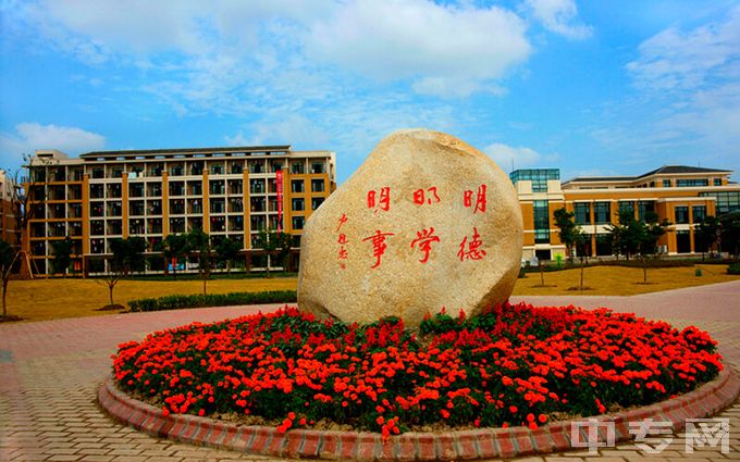 上海应用技术大学插生班报名有什么条件？