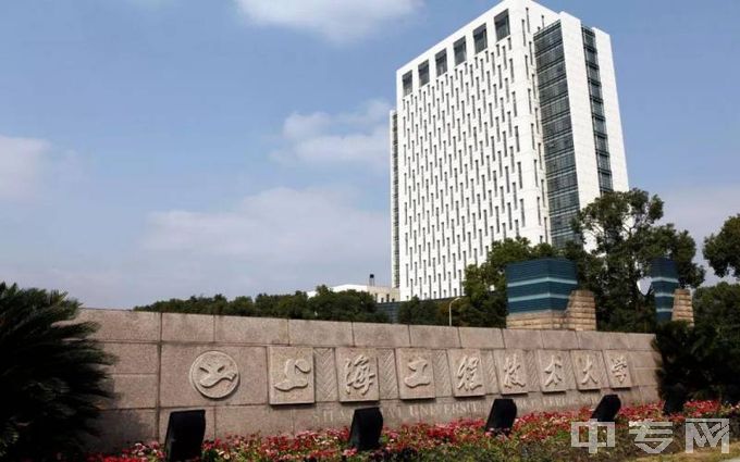 上海工程技术大学河南所有批次计划招收209人