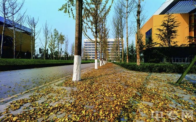 重庆科技学院河北有小语种招生计划吗？