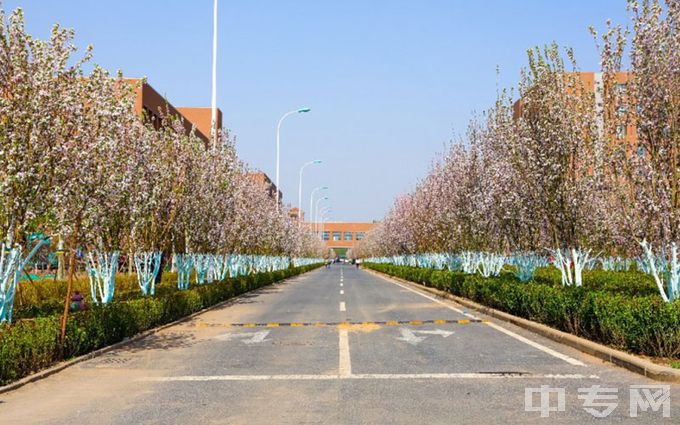天津中德应用技术大学是公办还是民办学校？