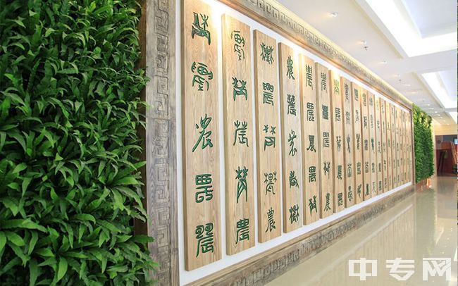 上海农林职业技术学院-校园风光7