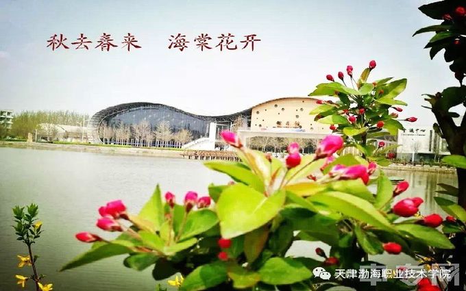 2022年天津渤海职业技术学院招生简章