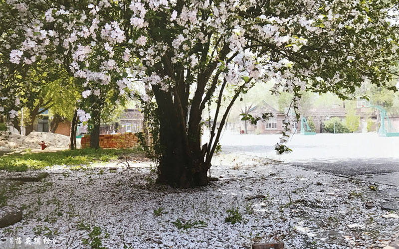 天津医学高等专科学校专业都可以升本吗，升哪里本科