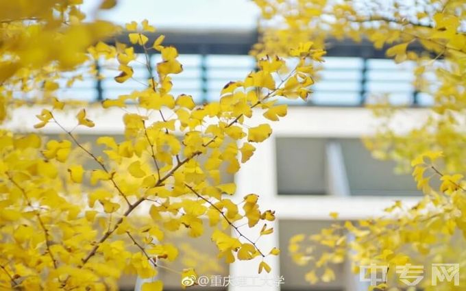 重庆理工大学2020年湖南最低录取位次