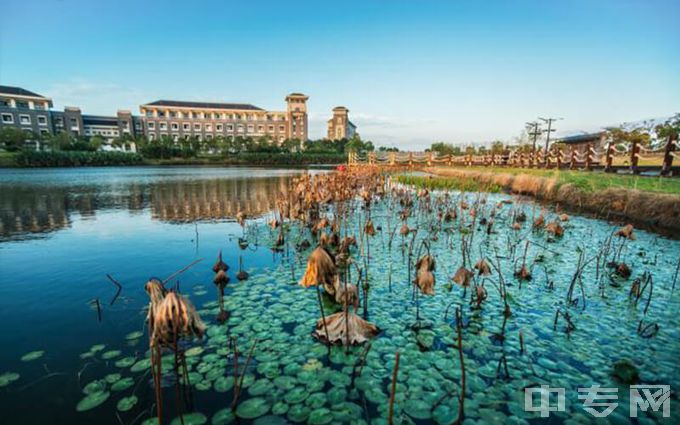 上海海洋大学-水中荷