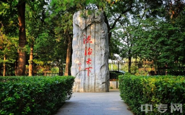 中国政法大学-石头