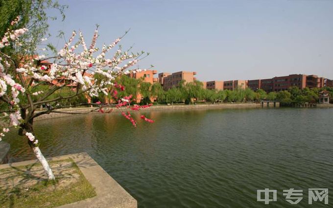 上海交通大学高校计划录取是在提前批前还是提前批后？