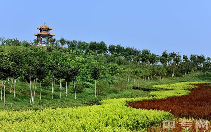 天津中医药大学历年录取情况