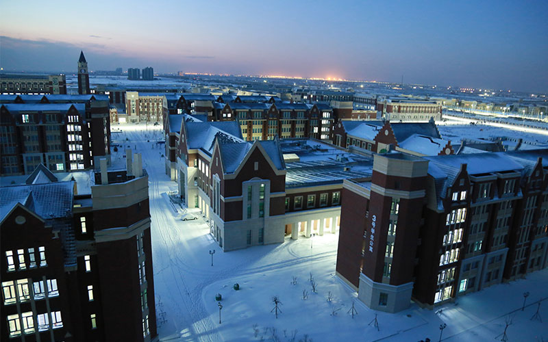唐山工业职业技术学院-雪后校园夜景