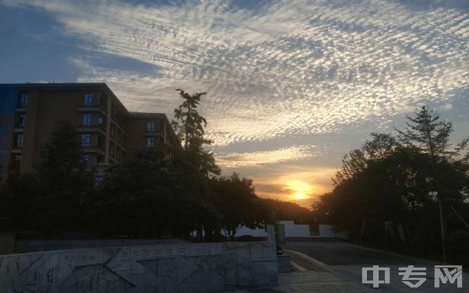 浙江特殊教育职业学院-夜景