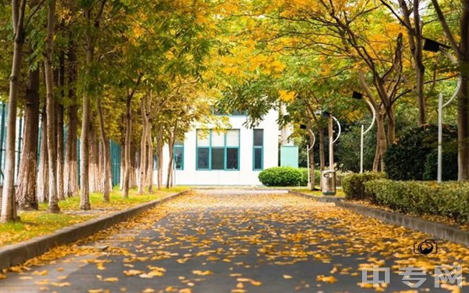 浙江水利水电学院-秋景