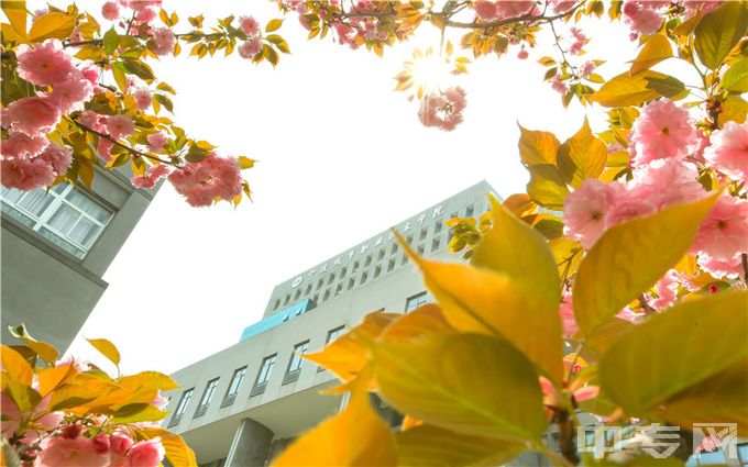 宁波城市职业技术学院去年普通专业最低分