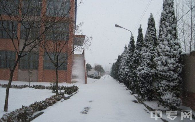 炎黄职业技术学院-雪